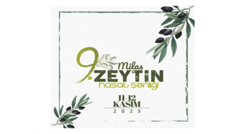 9. Milas Zeytin Hasat Şenliği heyecanı başlıyor