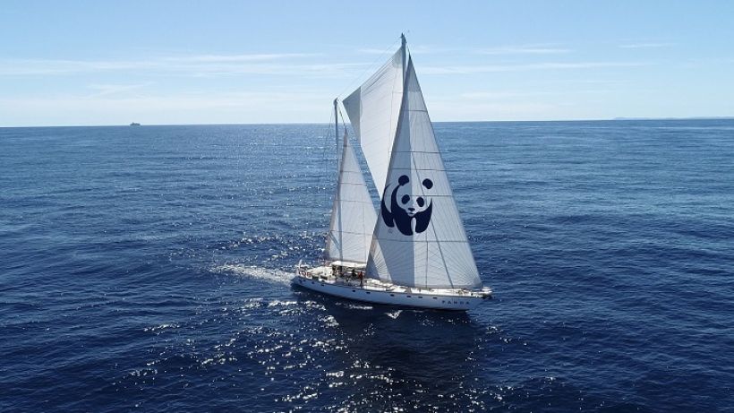 Blue Panda yelkenlisi Çeşme’de