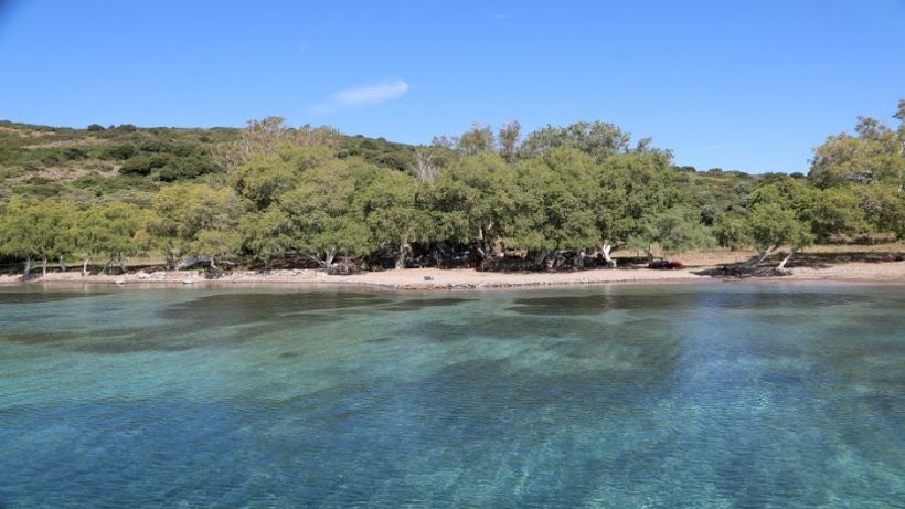 Bodrum, Adaboğazı’ndaki Kaçak Yapılar Yıkıldı
