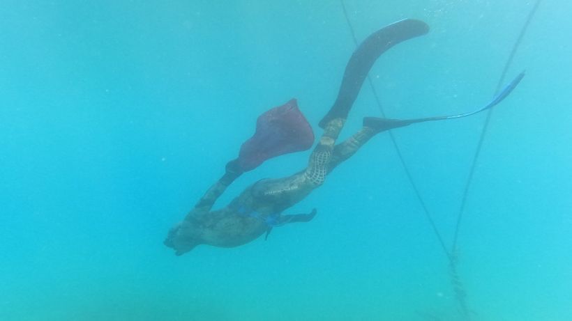 Bodrum Belediyesi, Gümüşlük’te Deniz Dibi Temizliği Yaptı
