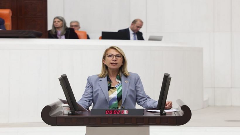 CHP’li Öneş Derici’den Orman Yangınları araştırma önergesi