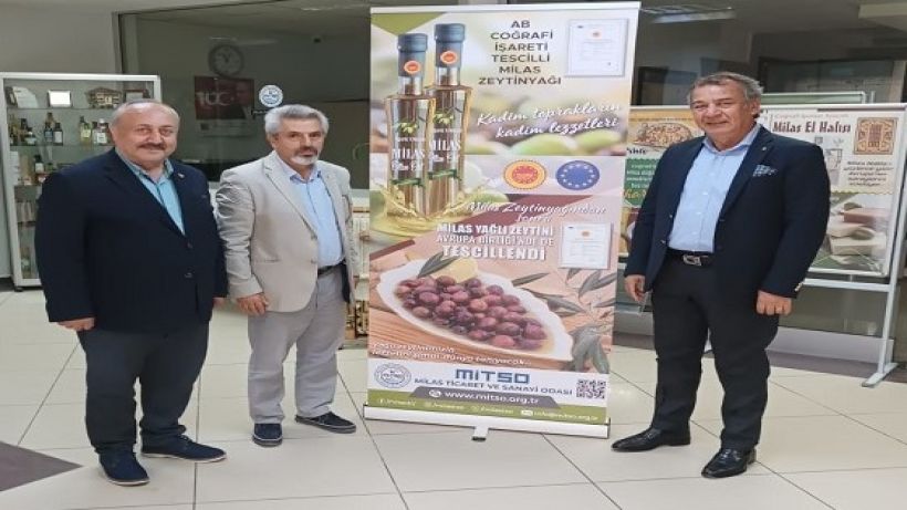 Coğrafi İşaretli Milas zeytini, zeytin hasat şenliğinde taçlandı