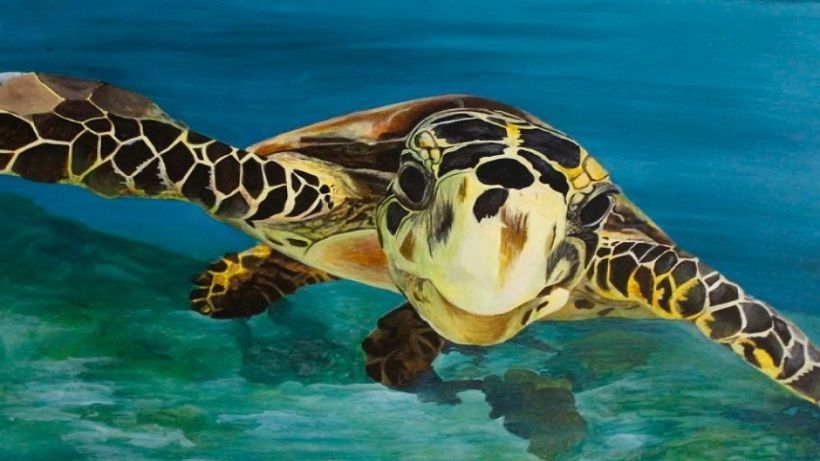 “Deniz&Su Kaplumbağaları” Sergisi Dijital Platformda