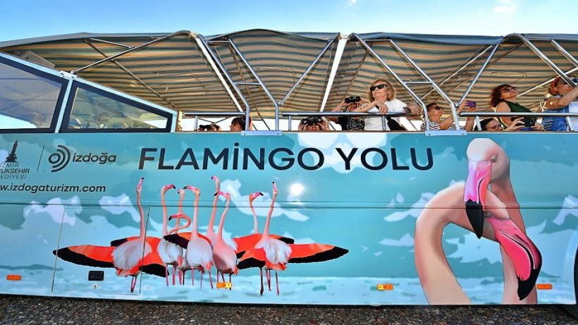 Doğaseverler Flamingo Festivalinde buluşacak