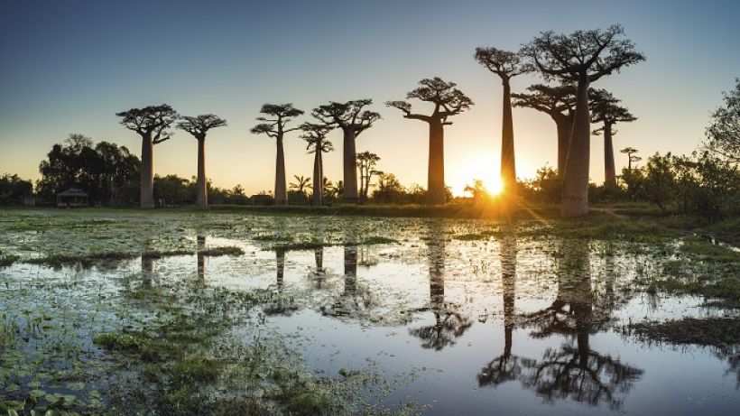 Emirates, Seyşeller üzerinden Madagaskar uçuşlarına başlıyor
