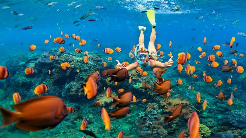 Sharm El Sheıkh’e gidiyoruz