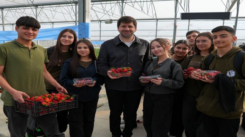 Tarsus çilek hasat şenliğinde ilk meyveler