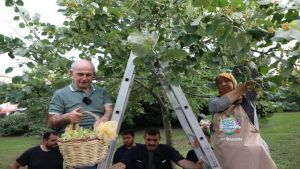 1. Ihlamur Şenliği Başladı