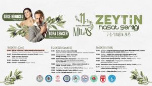 11. Milas Zeytin Hasat Şenliği Başlıyor