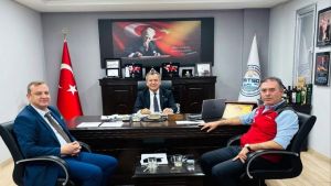 11. Milas Zeytin Hasat Şenliği İçin Hazırlıklar Başladı
