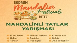 18. Bodrum Mandalin Festivali 21 Aralık’ta Bitez’de