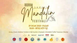 Bodrum’da, “sadece Mandalin Festivali 2023”
