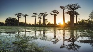 Emirates, Seyşeller üzerinden Madagaskar uçuşlarına başlıyor
