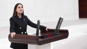 İasos Antik Kenti’nine yapılmak istenen liman meclise taşındı
