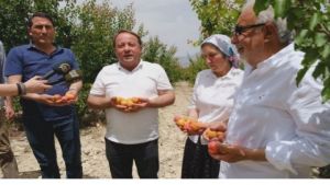Mut 63. Karacaoğlan Kayısı, Kültür ve Sanat Festivali Başlıyor
