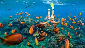 Sharm El Sheıkh’e gidiyoruz