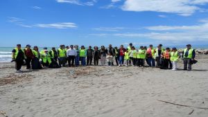Tarsus belediyesi Deniz Kaplumbağaları için sahada