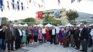 Zeytinin başkenti Milas'ta hasat coşkusu yaşanacak