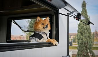 ABB kamp tutkunlarına yeni bir alan daha sunuyor