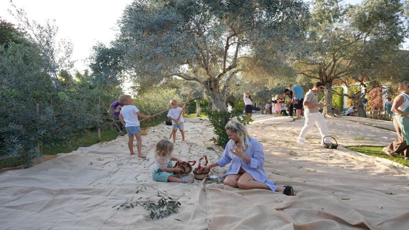 Fişekhane, Olive Fest 2026’ya ev sahipliği yapıyor Fişekhane, Olive Fest 2026’ya ev sahipliği yapıyor