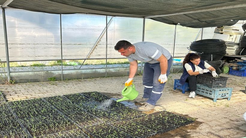 Seferihisar Tohum Takas Şenliği’ne hazırlanıyor