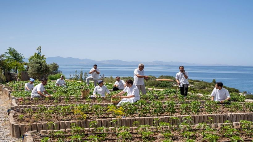 Six Senses Kaplankaya’dan sürdürülebilir gastronomi deneyimi