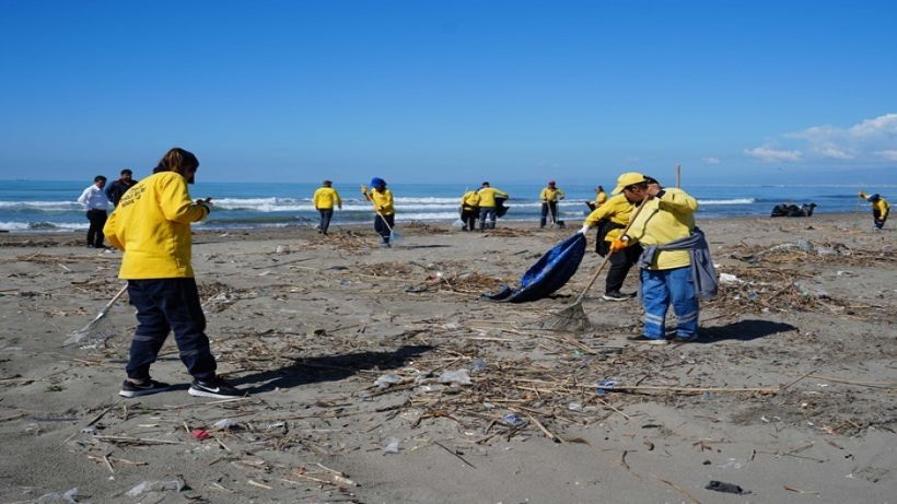 Tarsus belediyesi Deniz Kaplumbağaları için sahada