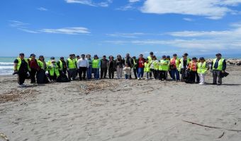 Tarsus belediyesi Deniz Kaplumbağaları için sahada